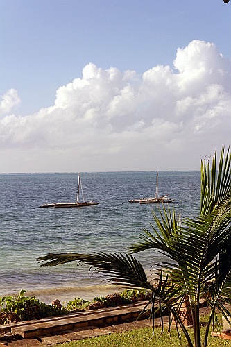 Kenia (593)